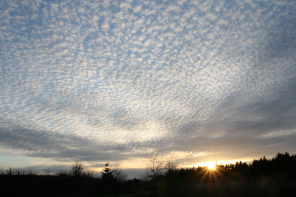 Cirrocumulus skyer