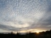 Cirrocumulus skyer