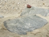 strandhest-w