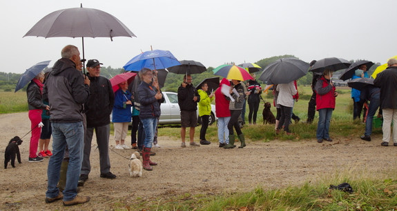 Midsommersangen blev sunget til regndråbetrommen på paraplyerne. Foto: Peter Jessen
