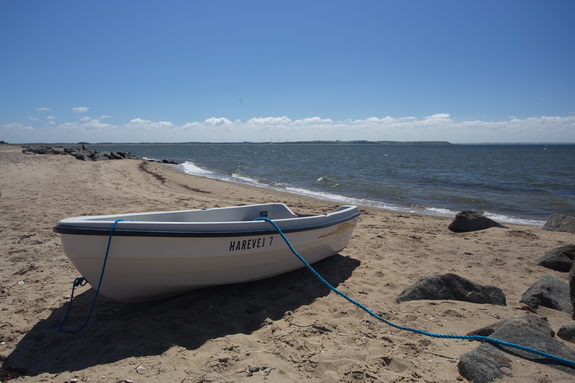 Kystsikringen ved Hostrup Strand har virket. Bag bølgebryderne har der dannet sig en fin sandstrand. Men kystsikringen har en pris ... (Foto: Peter Jessen)