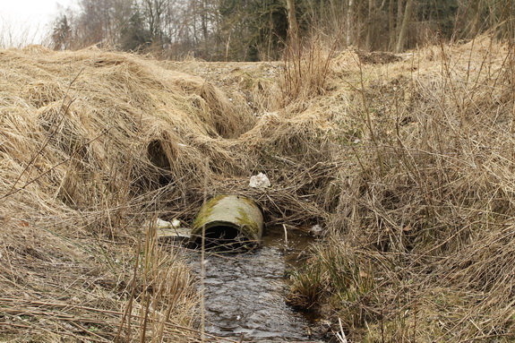 Røret under Havtjørnevej er ved at være tæret op og skal skiftes ud, mener Skive Kommune, som vil sende regningen for arbejdet videre til ejeren af jorden omkring stedet - Grundejerforeningen Hostrup Teglgaard. (Foto: Peter Jessen)