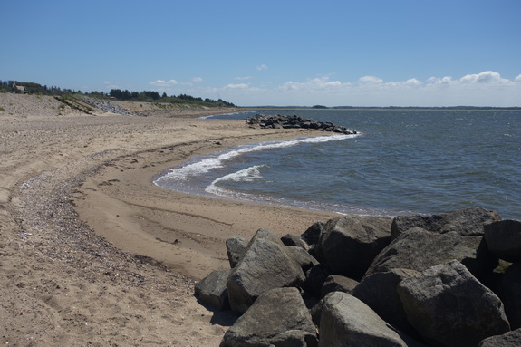 Sandstranden former sig karakteristisk i bløde buer bag bølgebryderne, som gør deres arbejde og opfanger sedimenterne. (Foto: Peter Jessen)